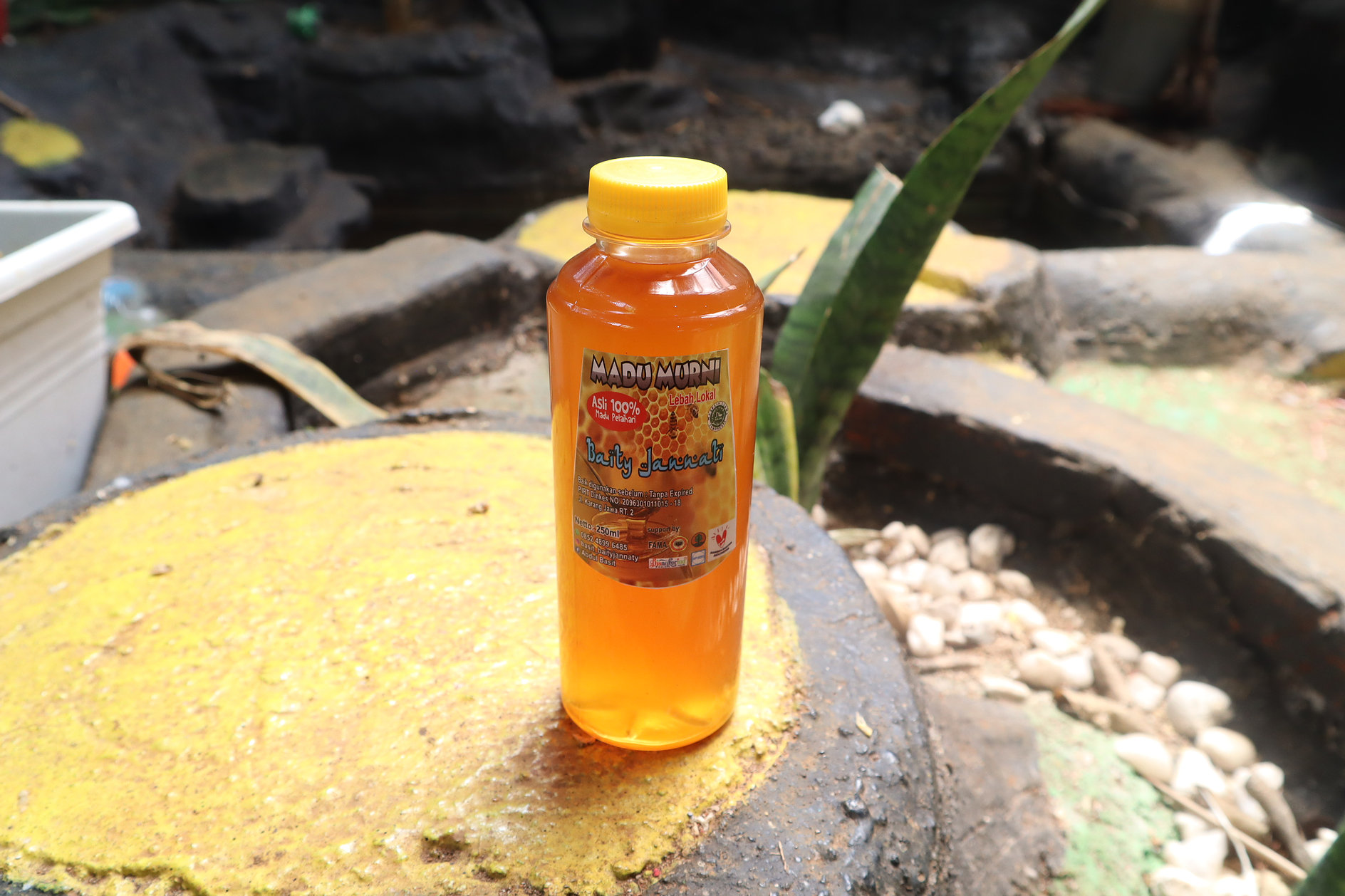 Madu Murni Lebah Lokal 500ml foto_produk_1615186106.jpg