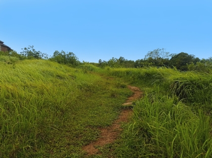 gunung birah