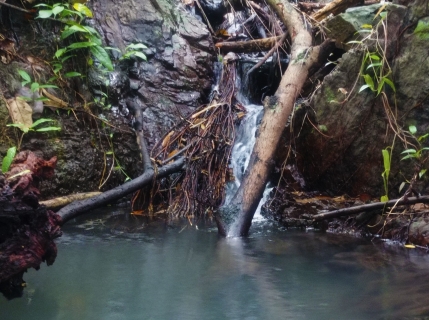 sungai di perjalanan mendaki