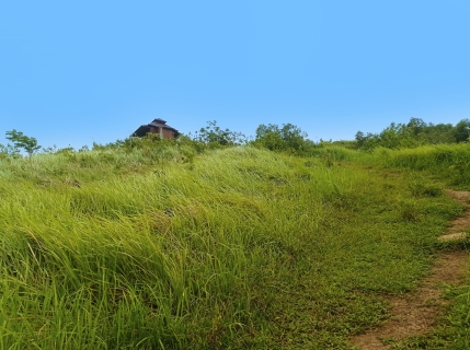 gunung birah